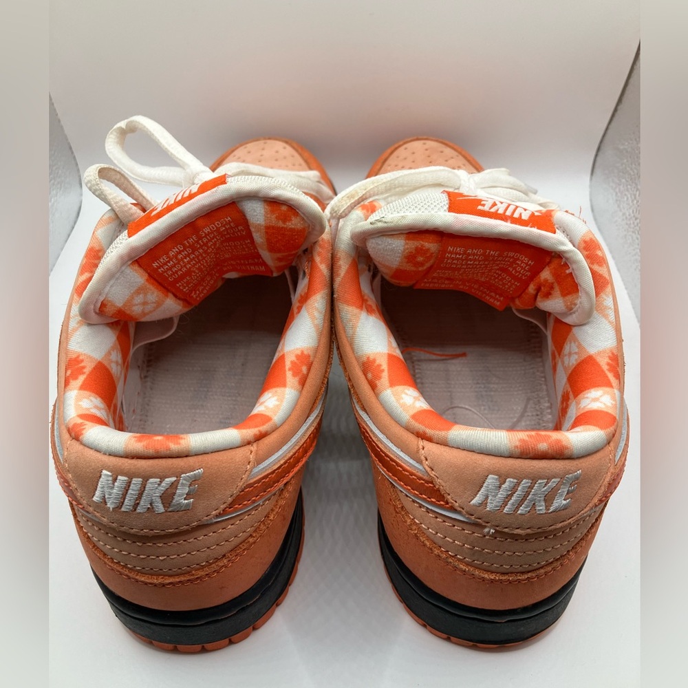 CONCEPTS x Nike Dunk Low SB Orange Lobster RARE Sneakers FD8776-800 🦞 Shoes - Picture 15 of 16